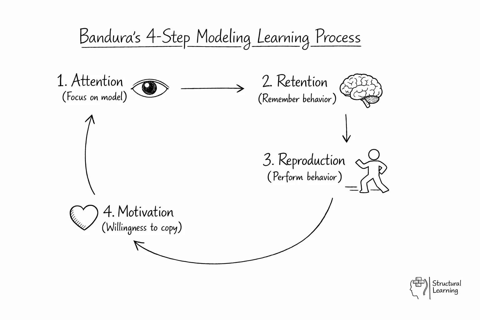 Flow diagram showing Bandura's 4-step modelling process with arrows connecting attention to retention to reproduction to motivation