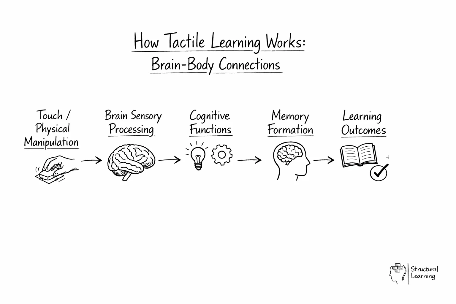 Network diagram showing how tactile experiences connect to brain processing and learning outcomes