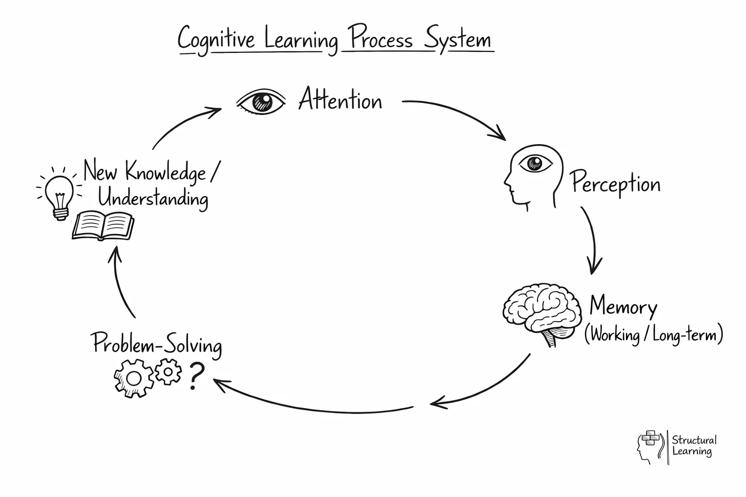 Circular diagram showing interconnected cognitive processes in learning with directional arrows