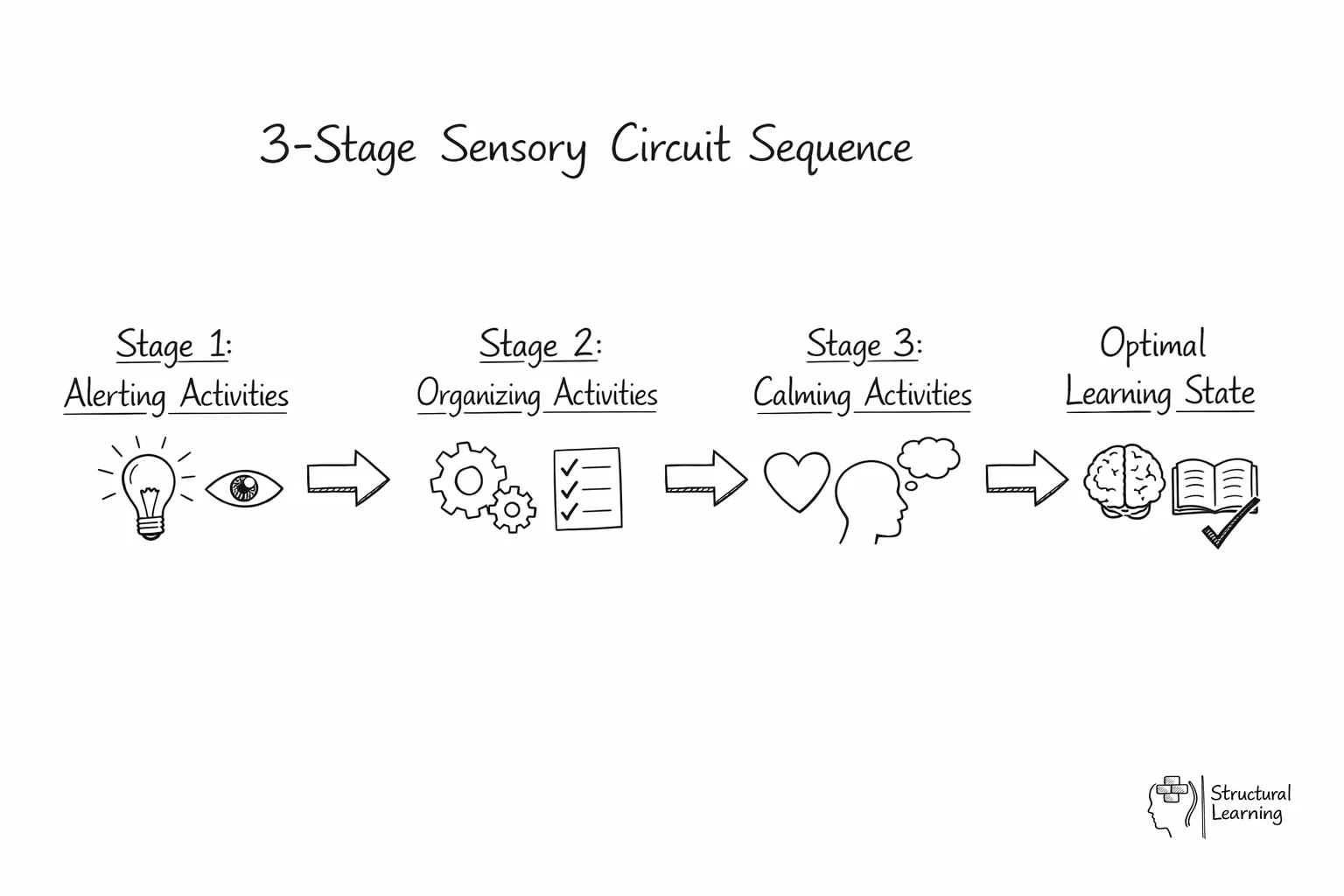 Flow diagram showing 3-stage sensory circuit: alerting to organising to calming activities