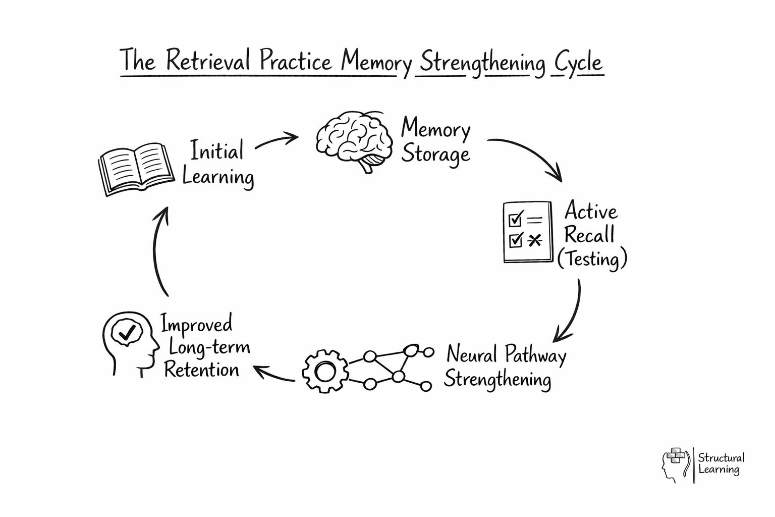 Circular diagram showing how retrieval practice creates a self-reinforcing cycle of memory strengthening