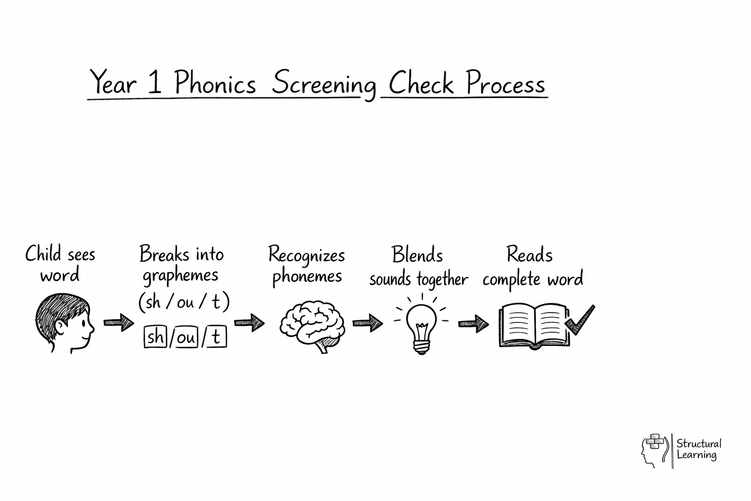 Flow diagram showing 5-step phonics decoding process from seeing word to reading aloud