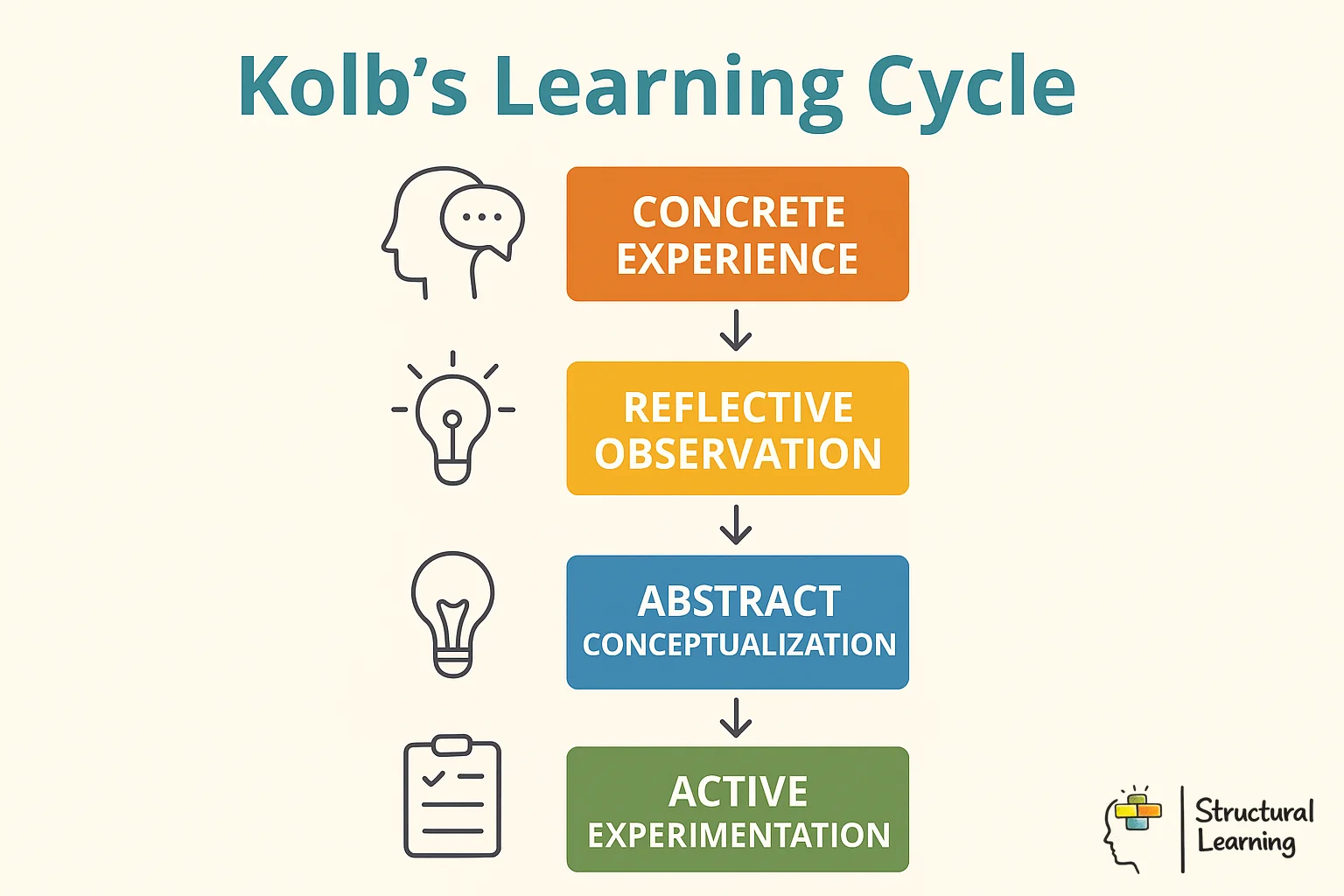 Circular diagram showing Kolb's four learning stages: doing, reflecting, thinking, and applying in continuous cycle