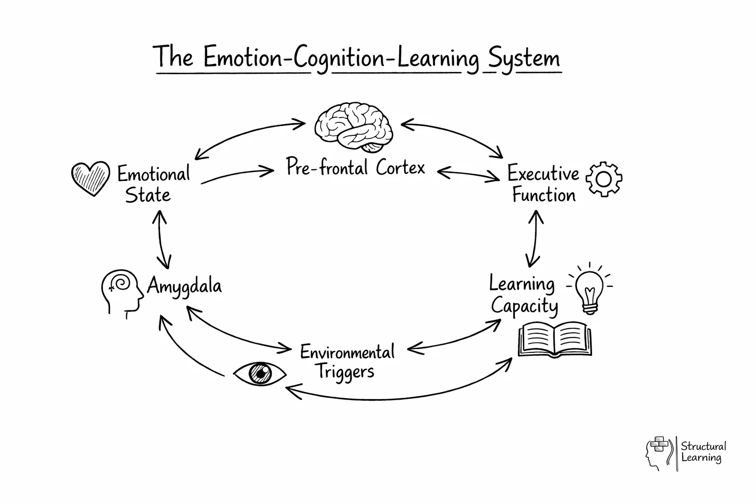 Circular diagram showing how emotions, brain regions, and learning interact in <a href=