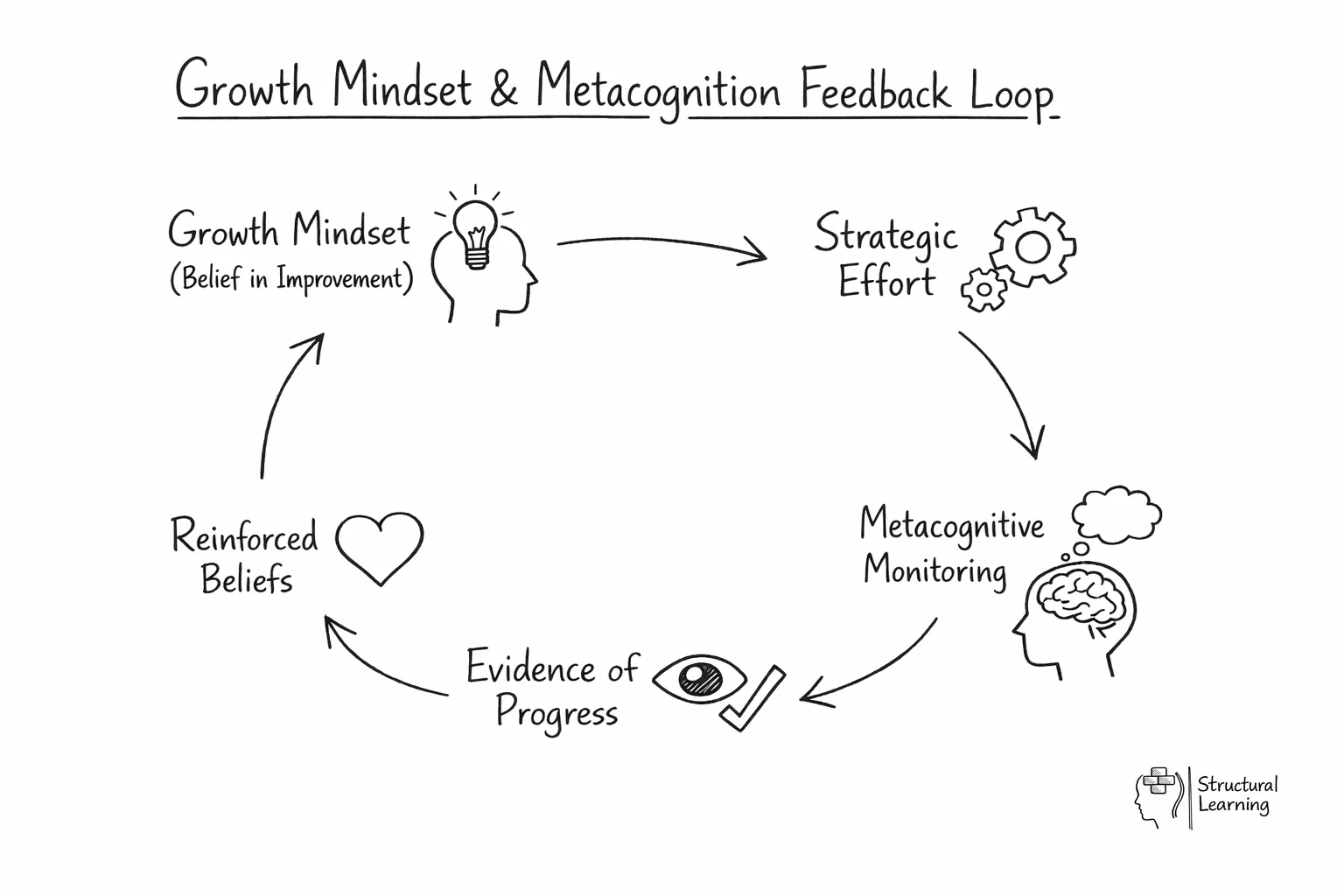 Growth mindset metacognition cycle diagram showing feedback loop between beliefs and strategic learning