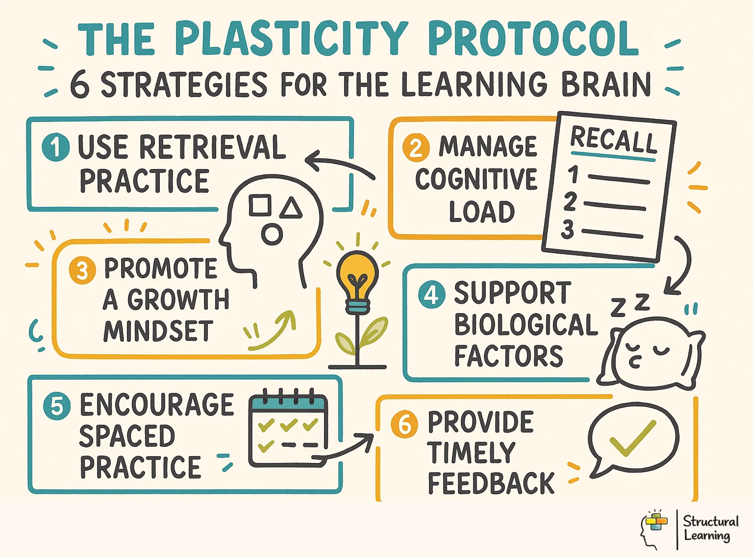 The Plasticity Protocol: 6 Strategies for the Learning Brain infographic for teachers