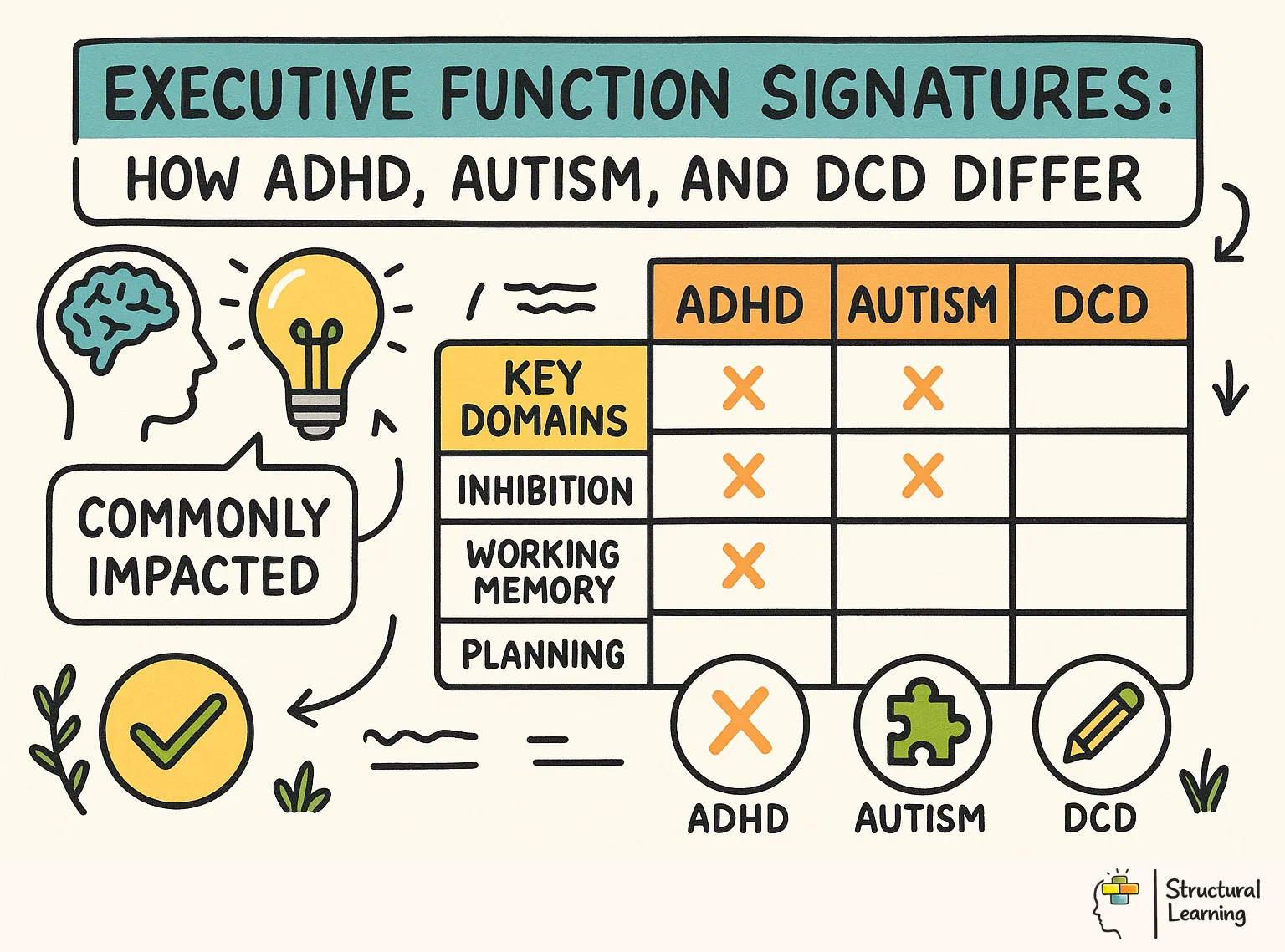 Executive Function Signatures: How ADHD, Autism, and DCD Differ infographic for teachers