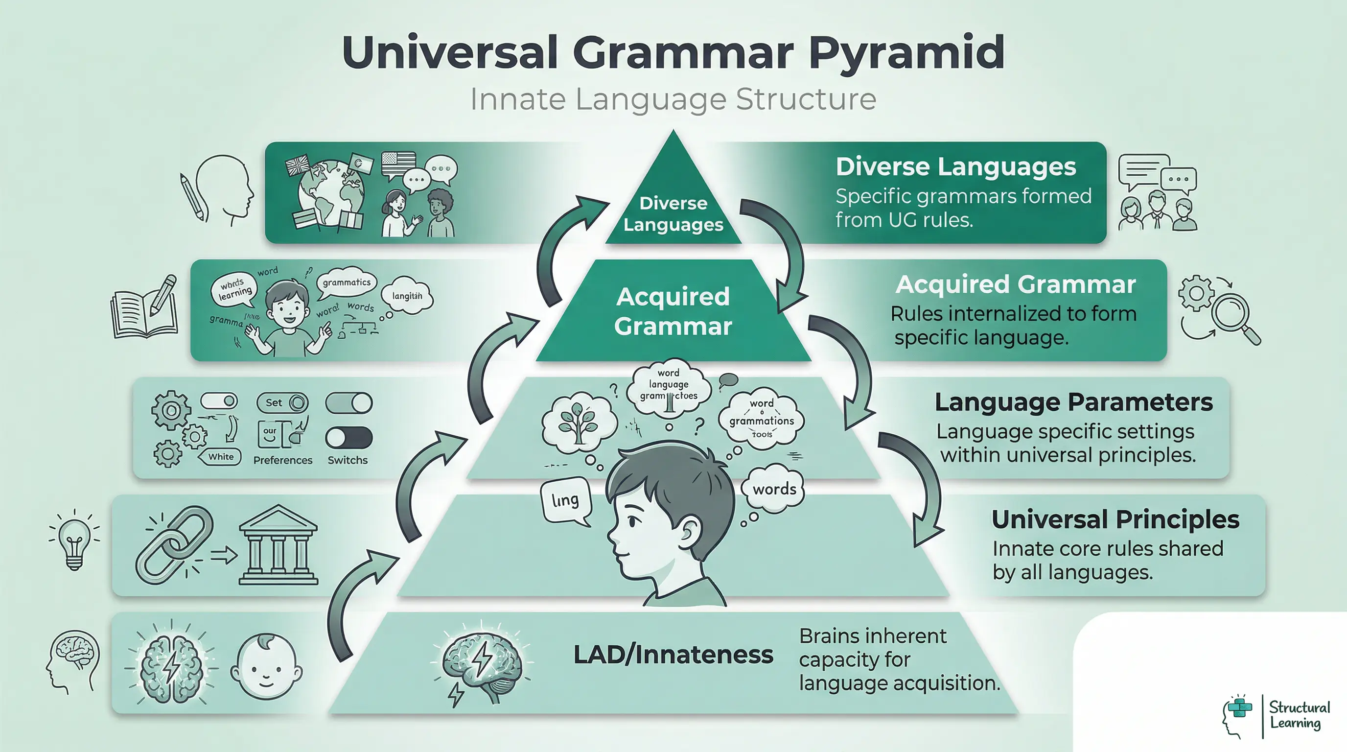 A pyramid diagram showing Chomsky's Universal Grammar. From top to bottom: Diverse Languages, Acquired Grammar, Language Parameters, Universal Principles, and LAD/Innateness at the base.