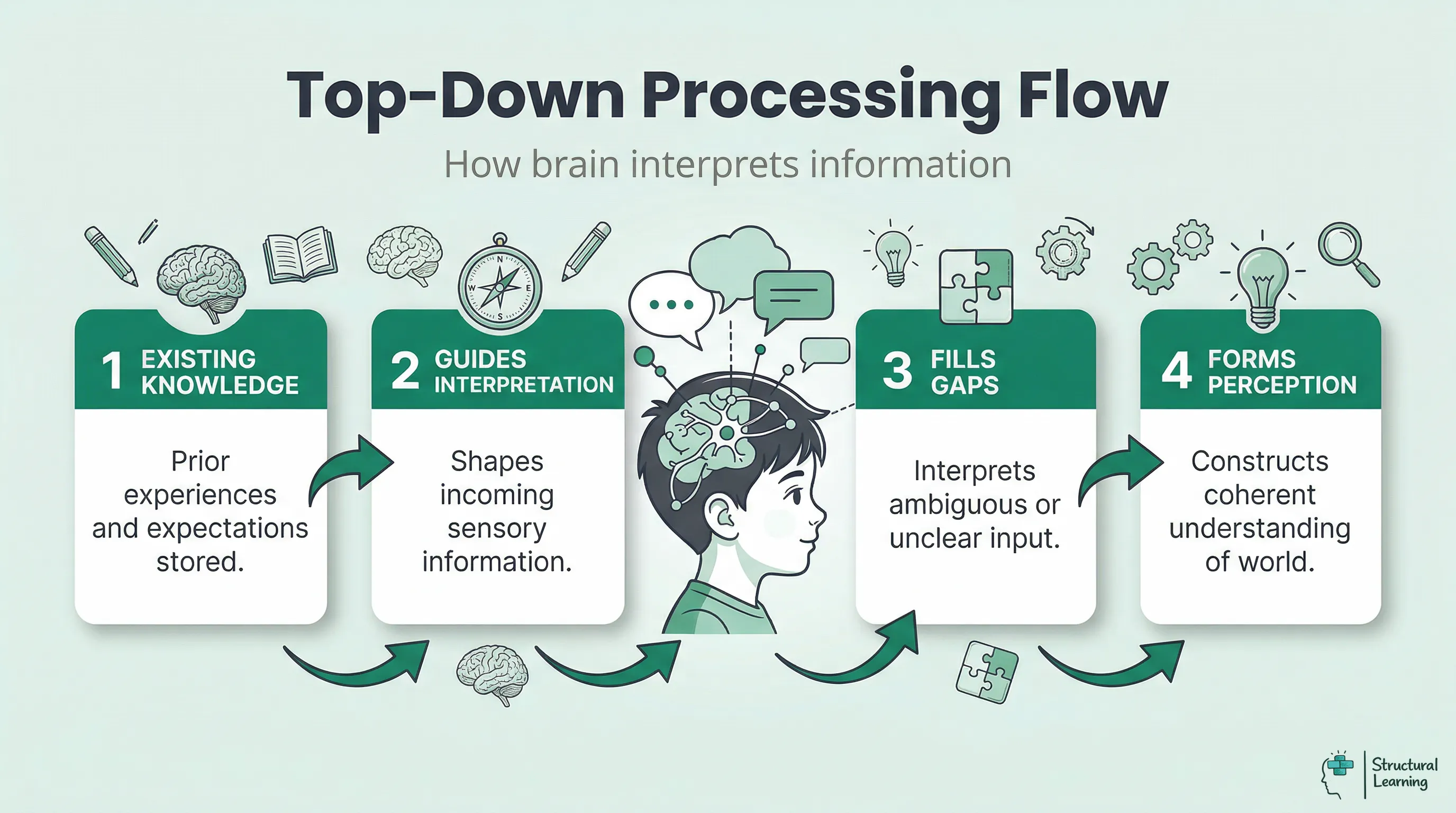 Infographic showing the four-step process of top-down processing, from existing knowledge to final perception.