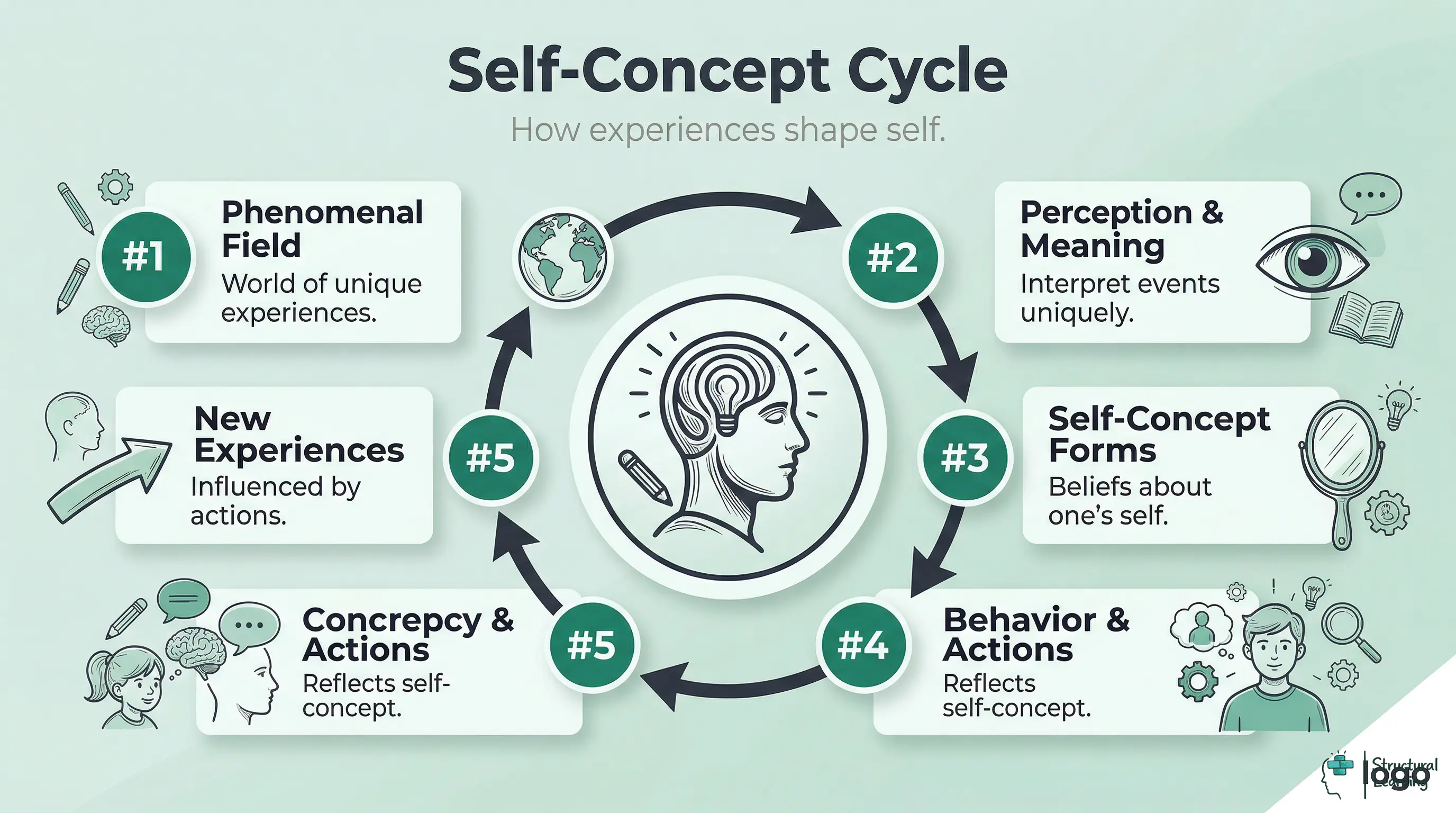 Cycle diagram showing Carl Rogers' self-concept formation: unique experiences lead to perception, forming self-concept, which influences behavior and shapes new experiences.