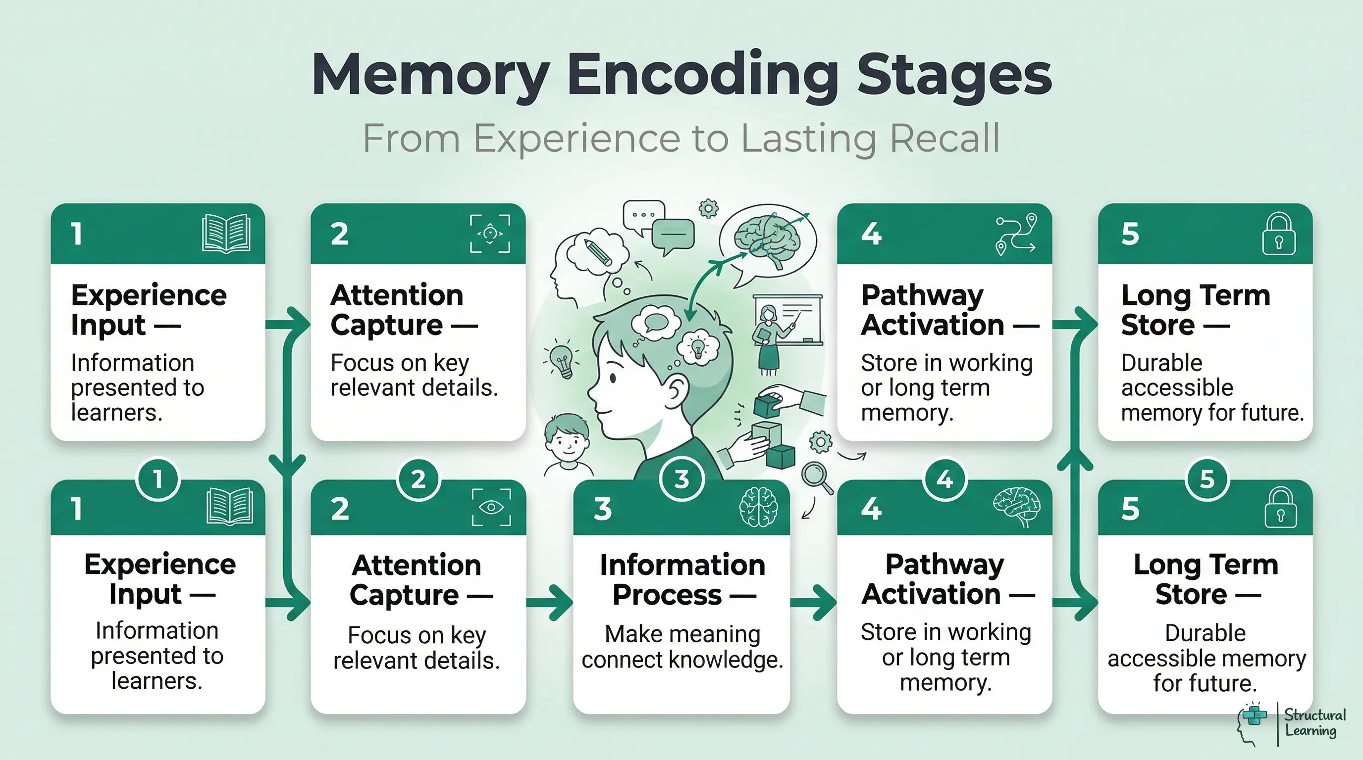 Infographic showing the 5 stages of memory encoding: Experience Input, Attention Capture, Information Processing, Pathway Activation, and Long-Term Store.
