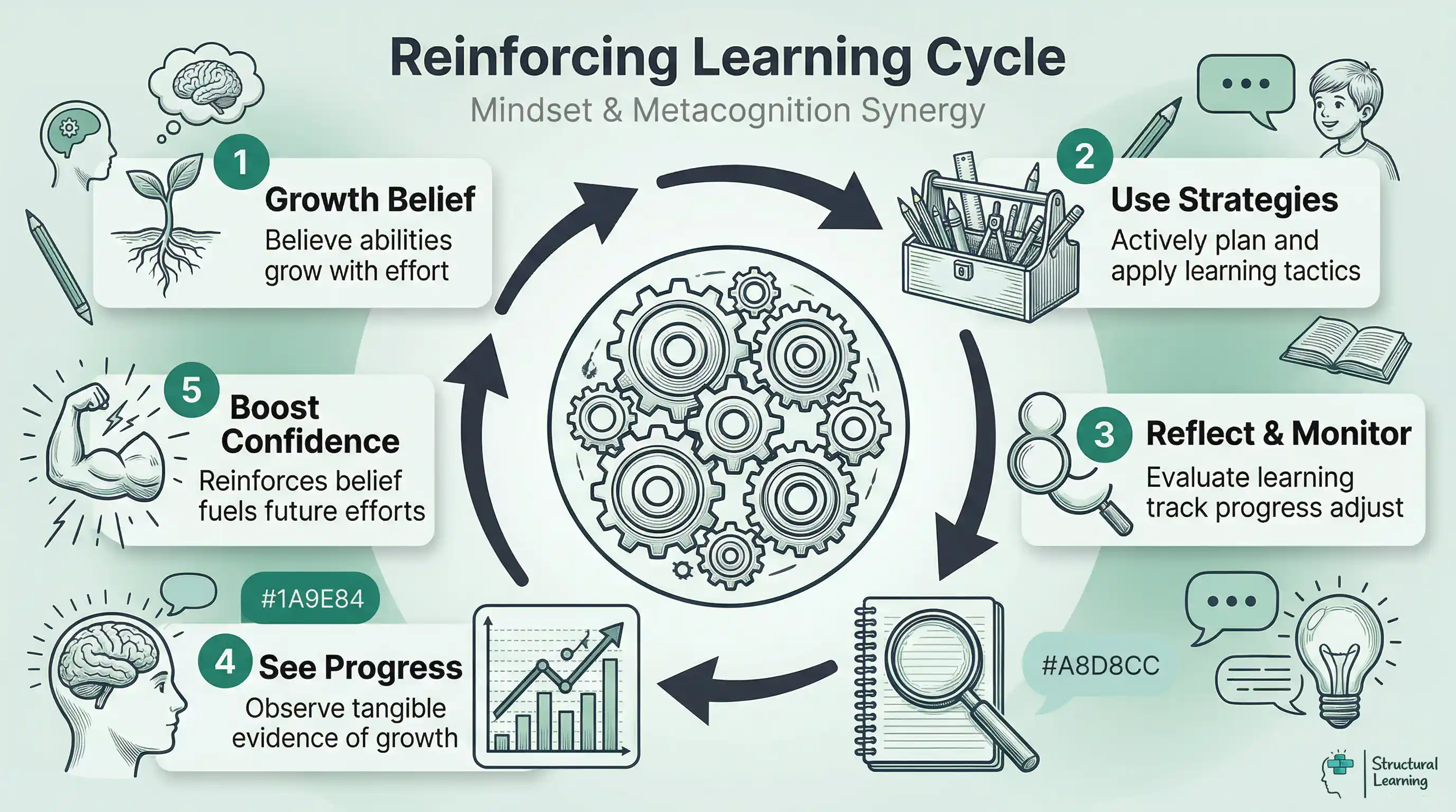 Infographic showing a reinforcing learning cycle. Growth mindset belief leads to using metacognitive strategies, followed by reflection and monitoring. This results in seeing progress, which then boosts confidence and strengthens the initial growth belief, continuing the cycle.