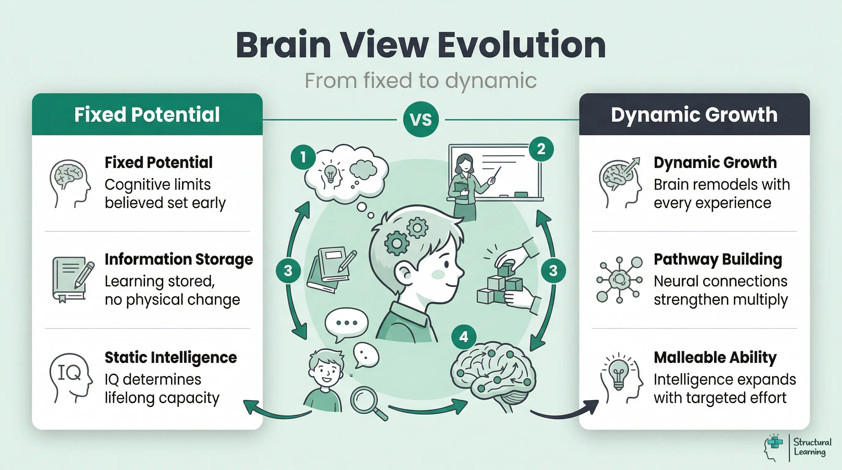 Infographic comparing old 'fixed brain' views with modern 'plastic brain' understanding for educators.