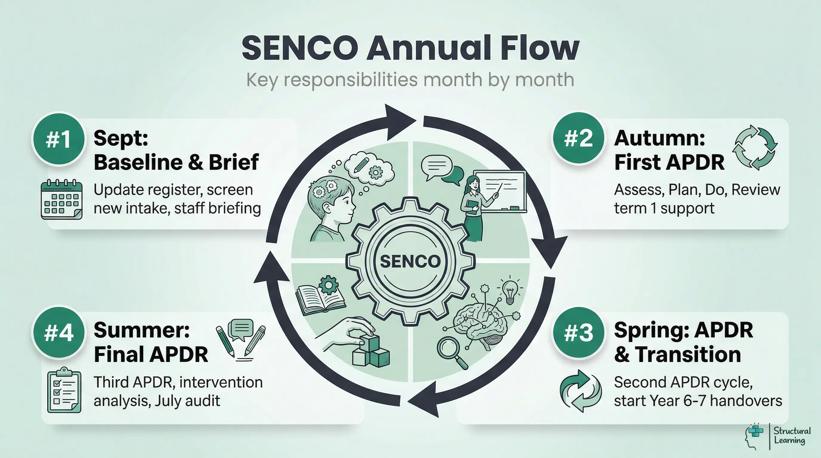 Infographic showing the cyclical annual responsibilities of a SENCO, broken down into four key phases: September setup, Autumn APDR, Spring APDR with transition planning, and Summer APDR with year-end audit.