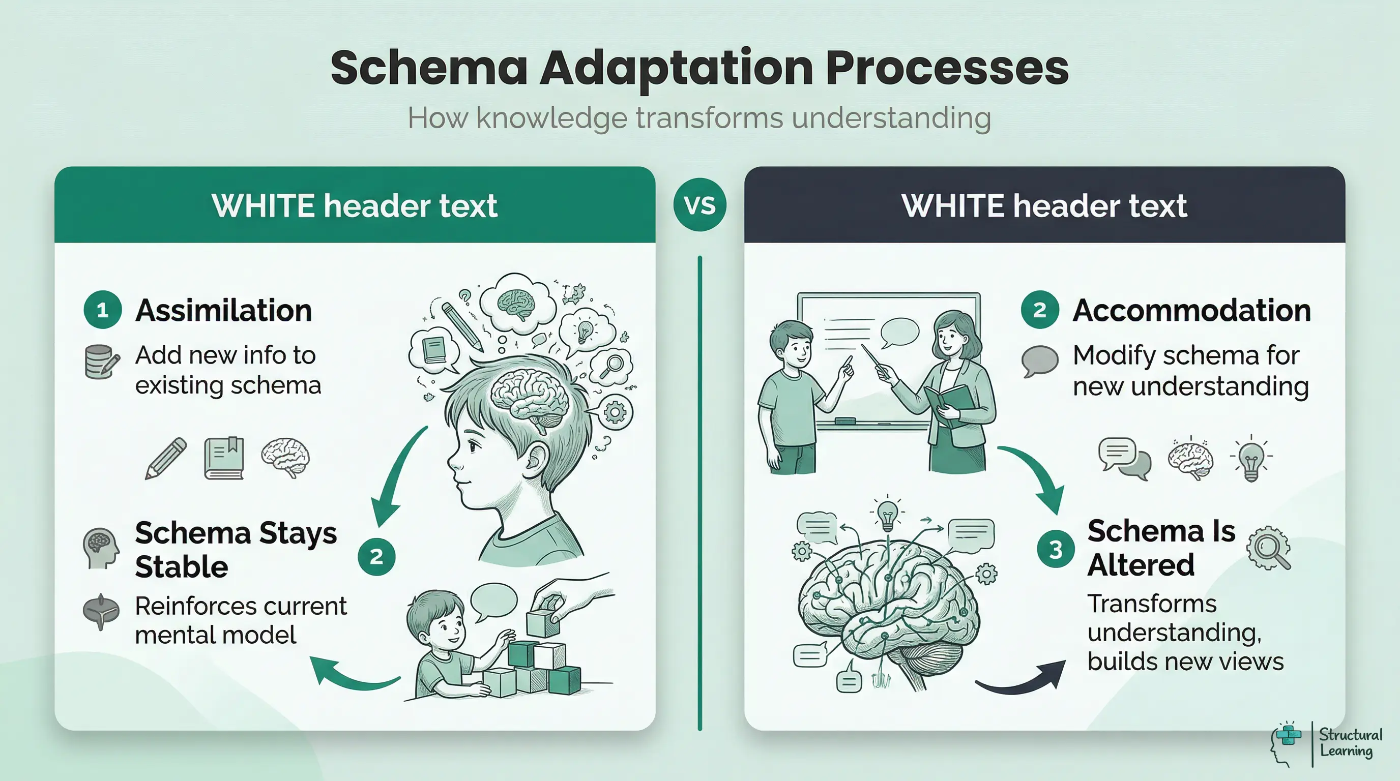 Infographic comparing Assimilation and Accommodation. Assimilation adds new information to an existing schema, reinforcing it. Accommodation modifies or creates new schemas, transforming understanding.