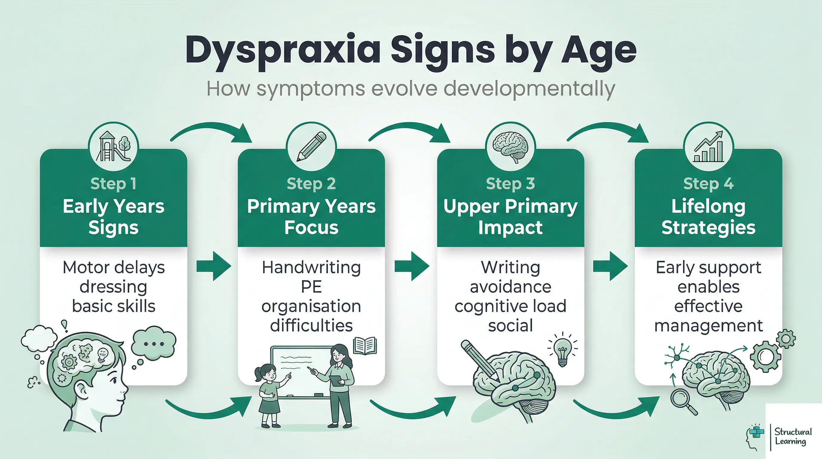 Infographic showing the progression of dyspraxia signs across different age groups from early years to upper primary, and the importance of lifelong strategies.