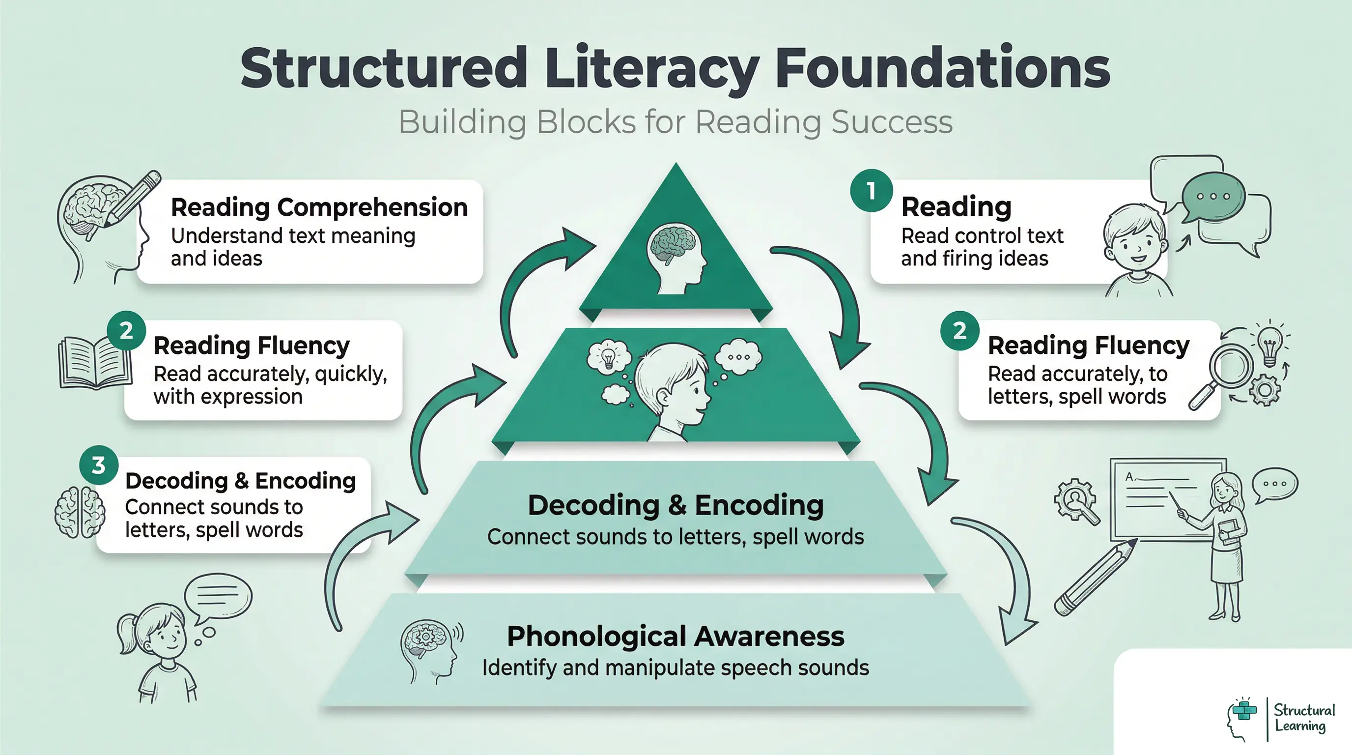 A pyramid infographic showing the hierarchical building blocks of literacy skills. From bottom to top: Phonological Awareness, Decoding & Encoding, Reading Fluency, and Reading Comprehension.
