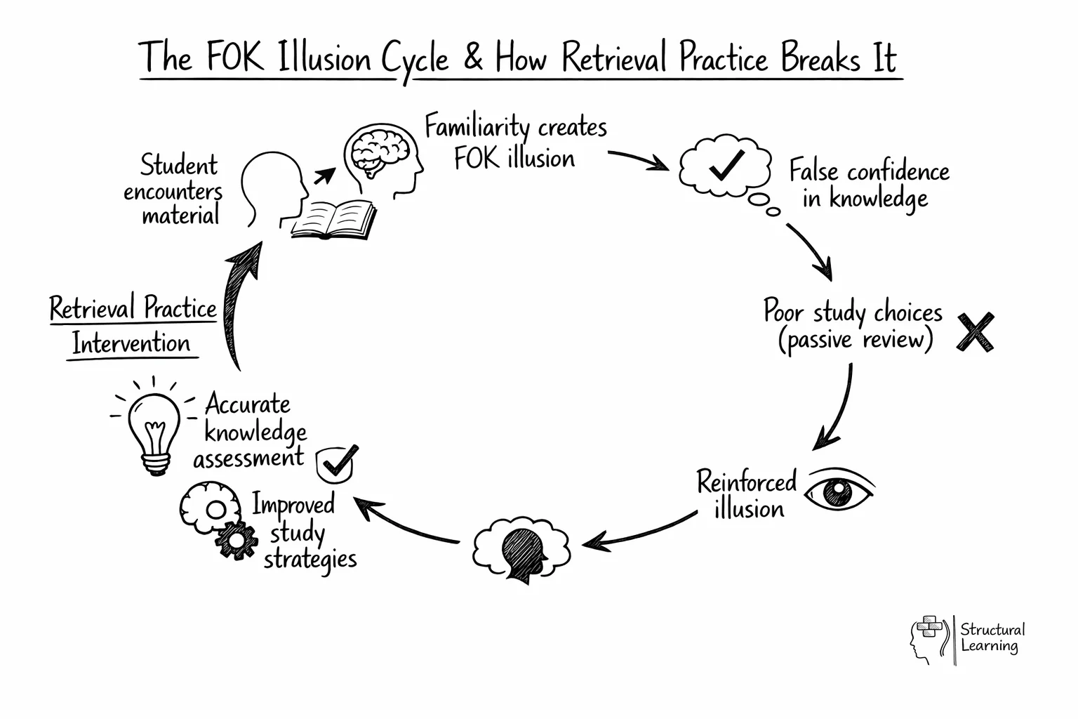 FOK illusion cycle diagram showing how familiarity creates false confidence and poor study habits