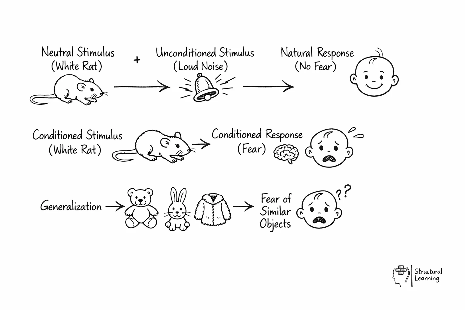 Classical conditioning process flow diagram showing Watson's Little Albert experiment stages