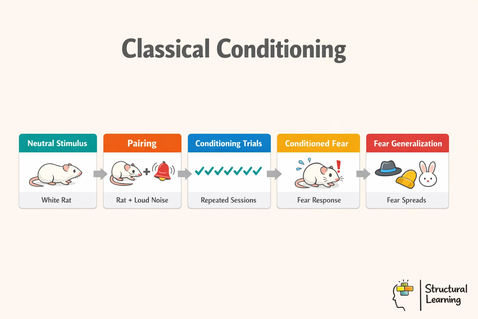 Classical conditioning process infographic showing Watson's Little Albert experiment steps from neutral stimulus to generalized fear response