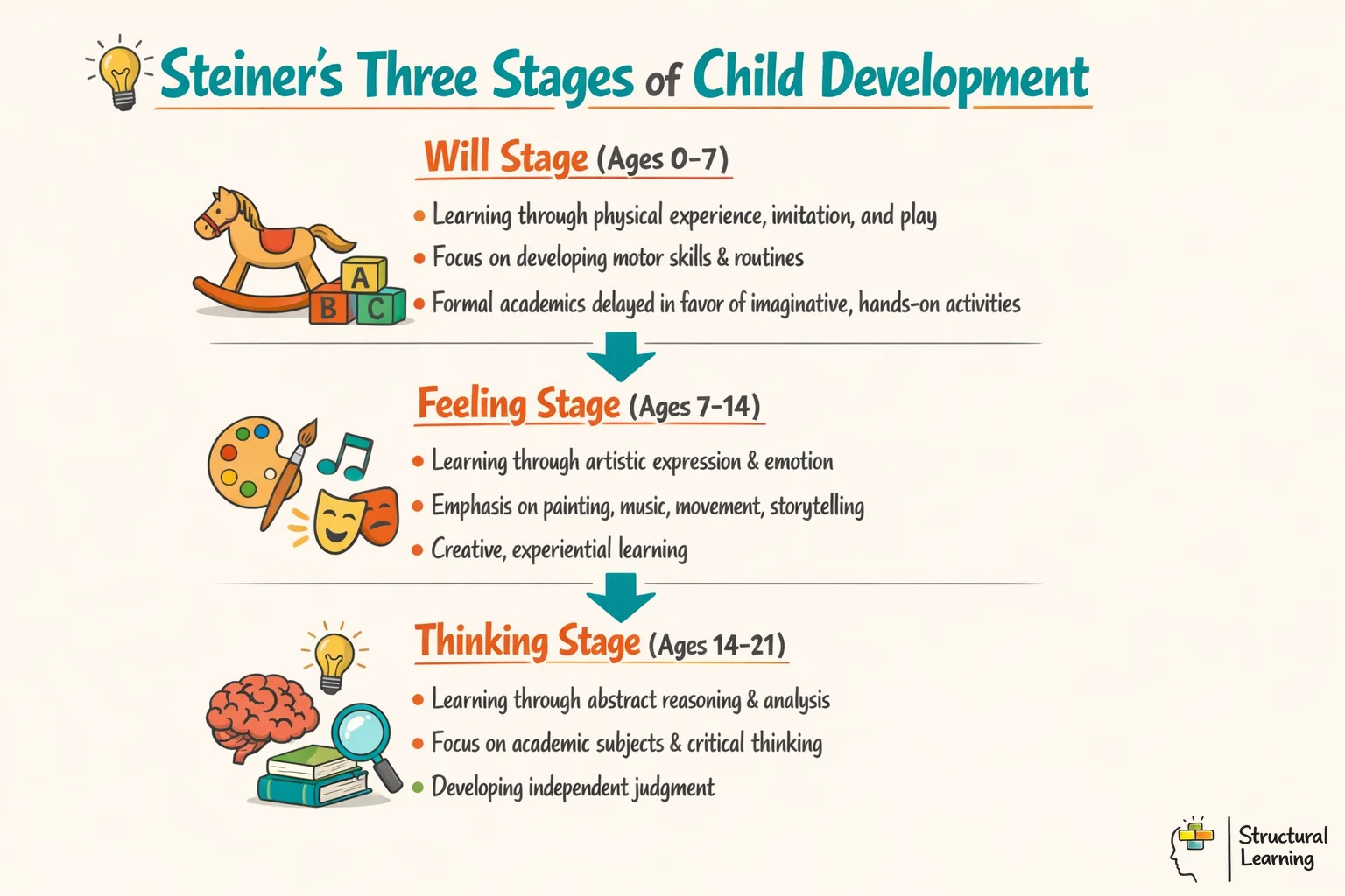 Infographic showing Steiner's three developmental stages: Will (0-7), Feeling (7-14), and Thinking (14-21)