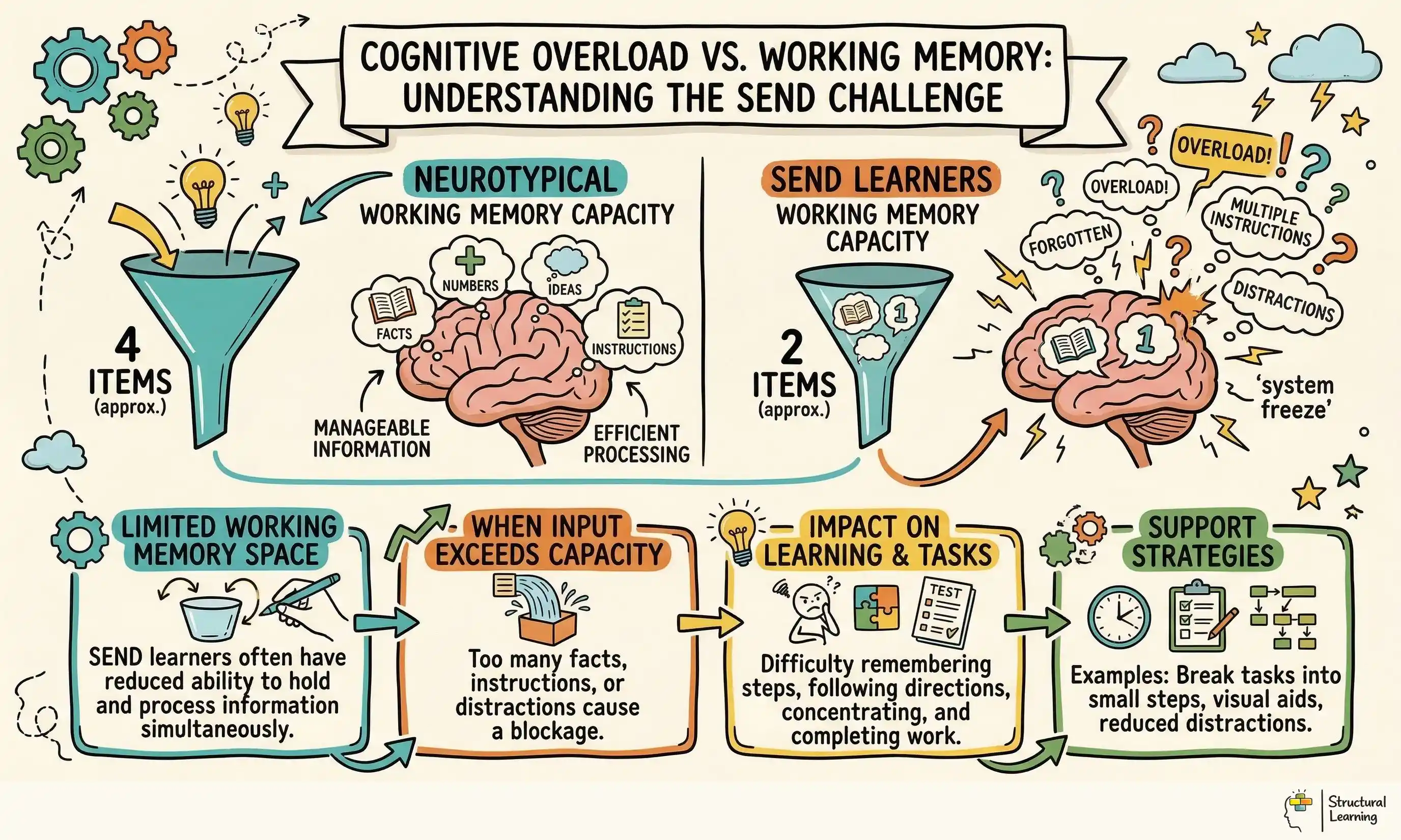 Cognitive Overload vs. Working Memory: Understanding the SEND Challenge infographic for teachers