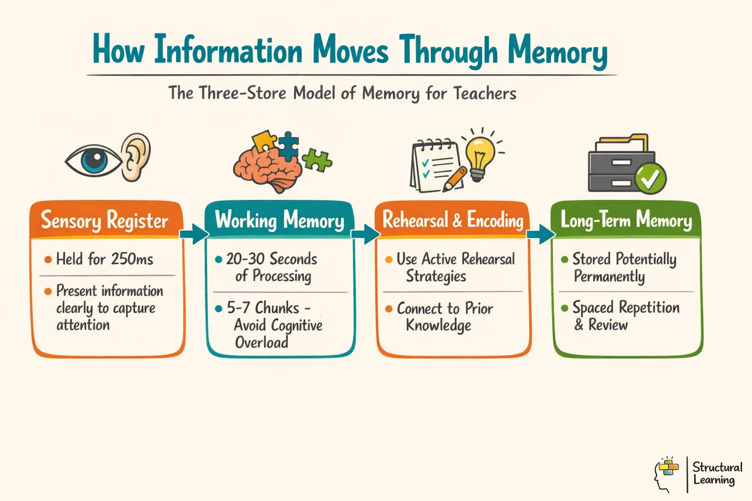 Four-step process showing how information moves from sensory register through working memory to long-term storage