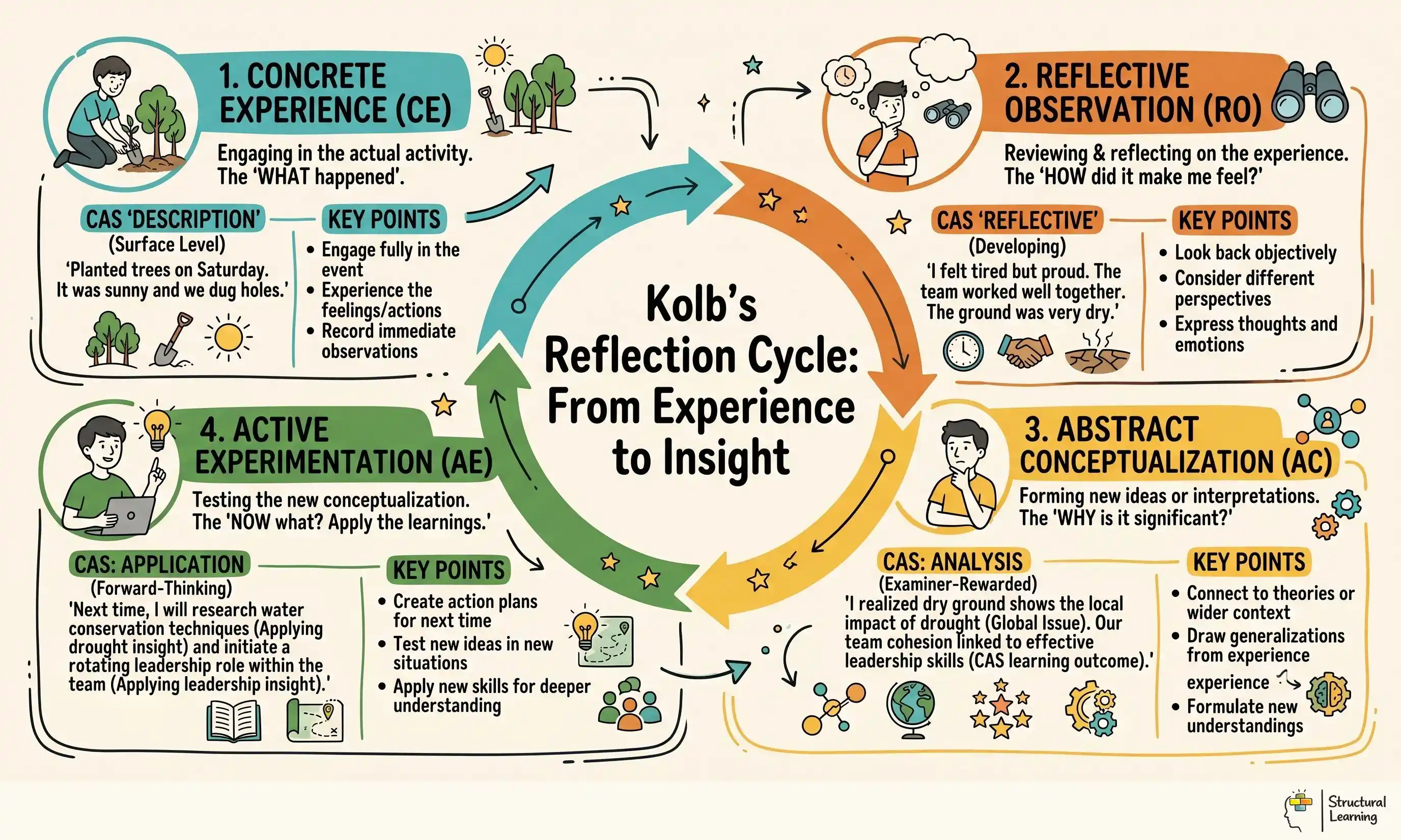 Kolb's Reflection Cycle: From Experience to Insight infographic for teachers