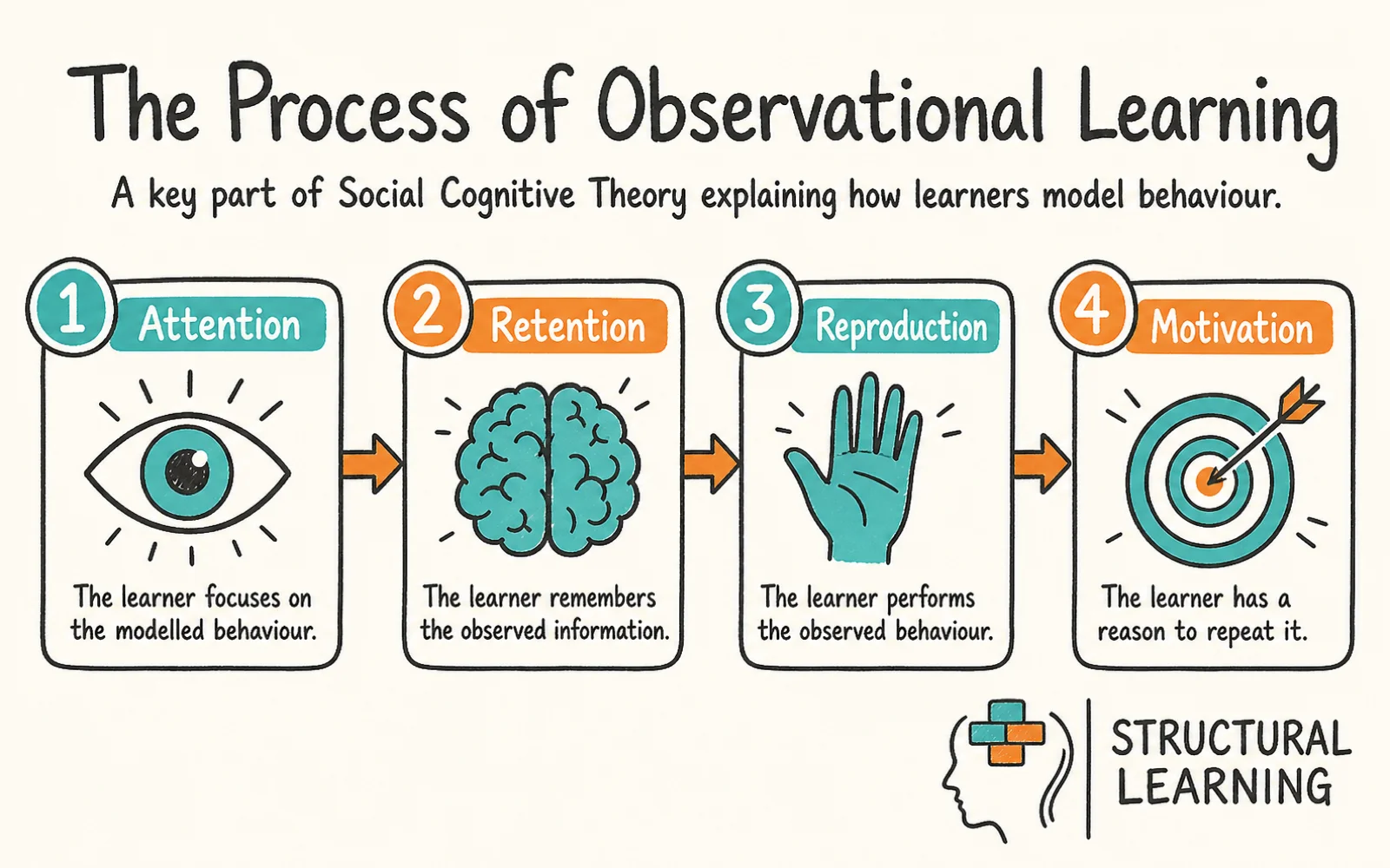 Social Cognitive Theory: How Self-Efficacy and Modelling infographic showing the steps to Observational Learning, Self-Efficacy, and Reciprocal