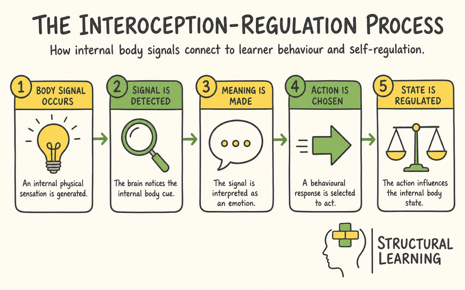Interoception in the Classroom: The Hidden Eighth Sense infographic showing the steps to interoception, self-regulation, and body signals for teachers
