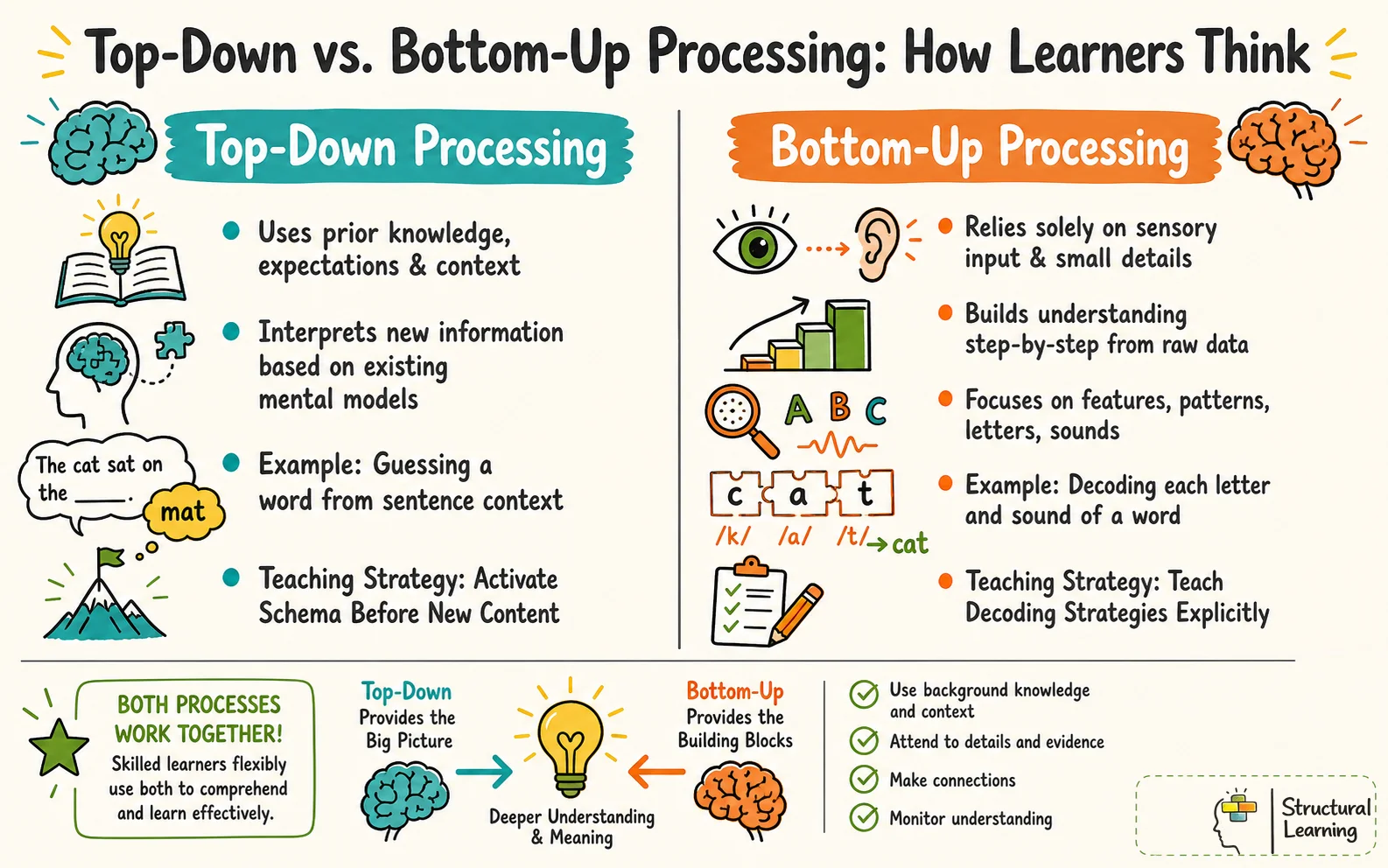 Infographic comparing top-down and bottom-up cognitive processing, illustrating their definitions, examples, and relevant teaching strategies for learners.