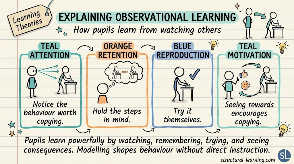 Social Learning Theory: Bandura's Modelling for Classrooms — visual explainer sketchnote