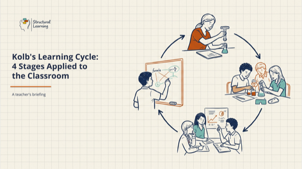 Kolb's Learning Cycle: 4 Stages Applied to the Classroom, slide preview