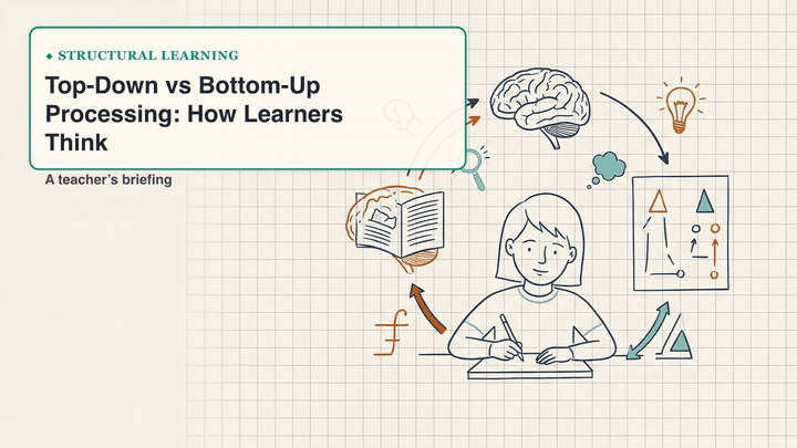 Top-Down vs Bottom-Up Processing: How Learners Think — slide preview
