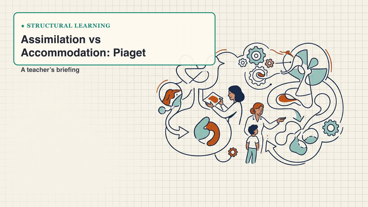 Assimilation vs Accommodation: Piaget — slide preview