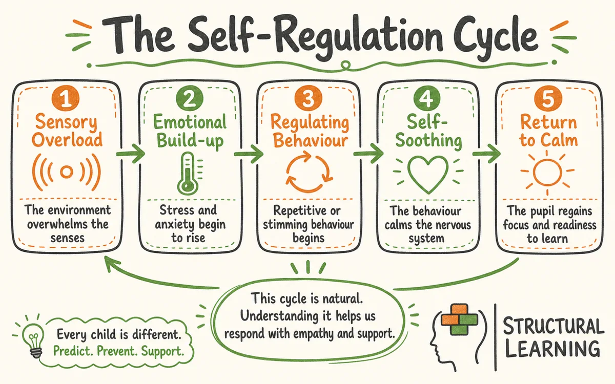 High-functioning autism self-regulation cycle for support