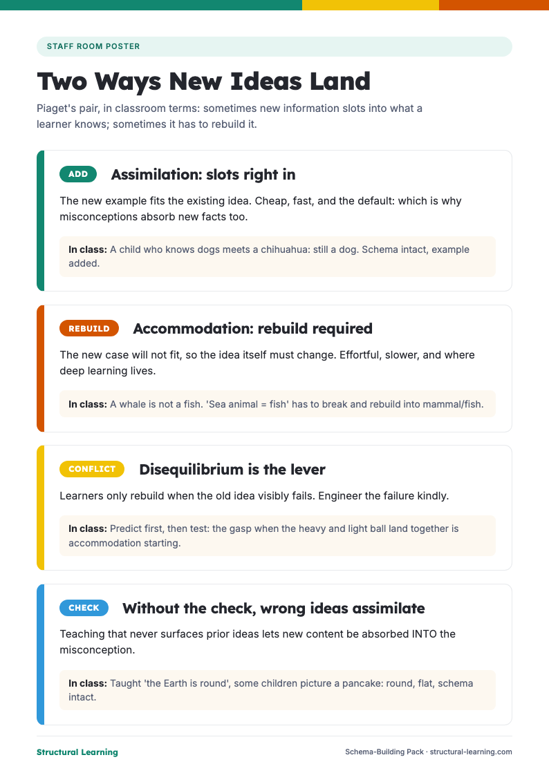 Assimilation and accommodation Schema-Building Pack PDF preview