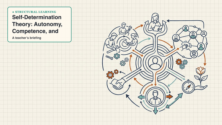 Self-Determination Theory: Autonomy, Competence, and — slide preview
