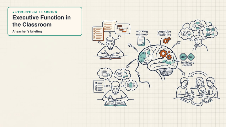 Executive Function in the Classroom — slide preview