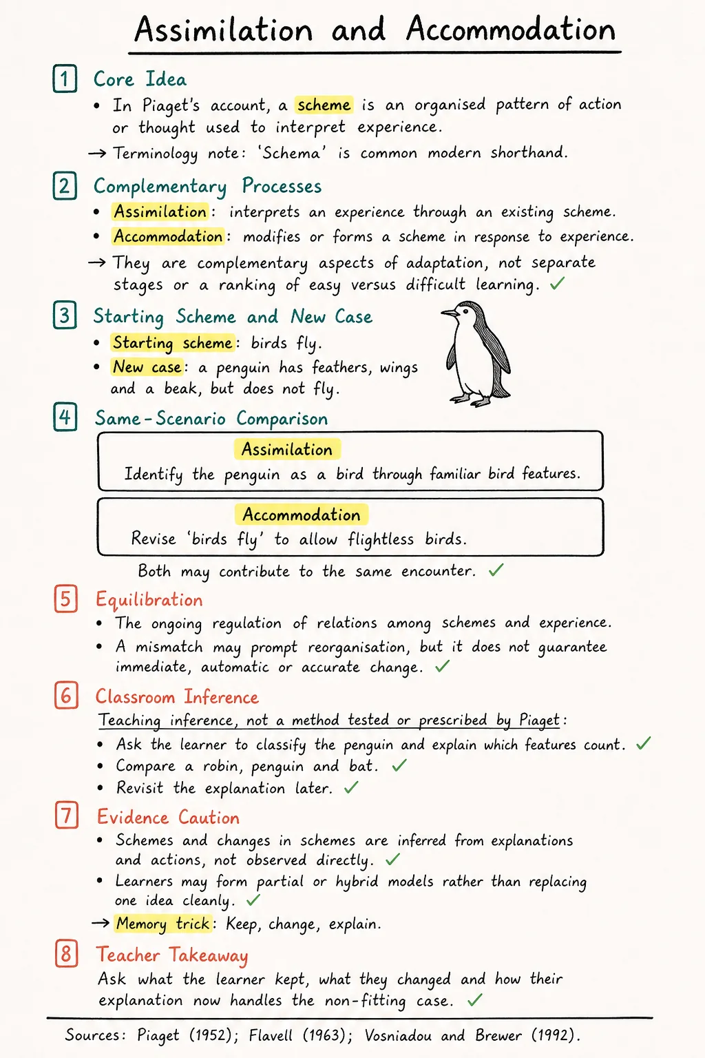 Study note comparing how assimilation uses a scheme and accommodation changes a scheme within Piaget's account of adaptation and equilibration