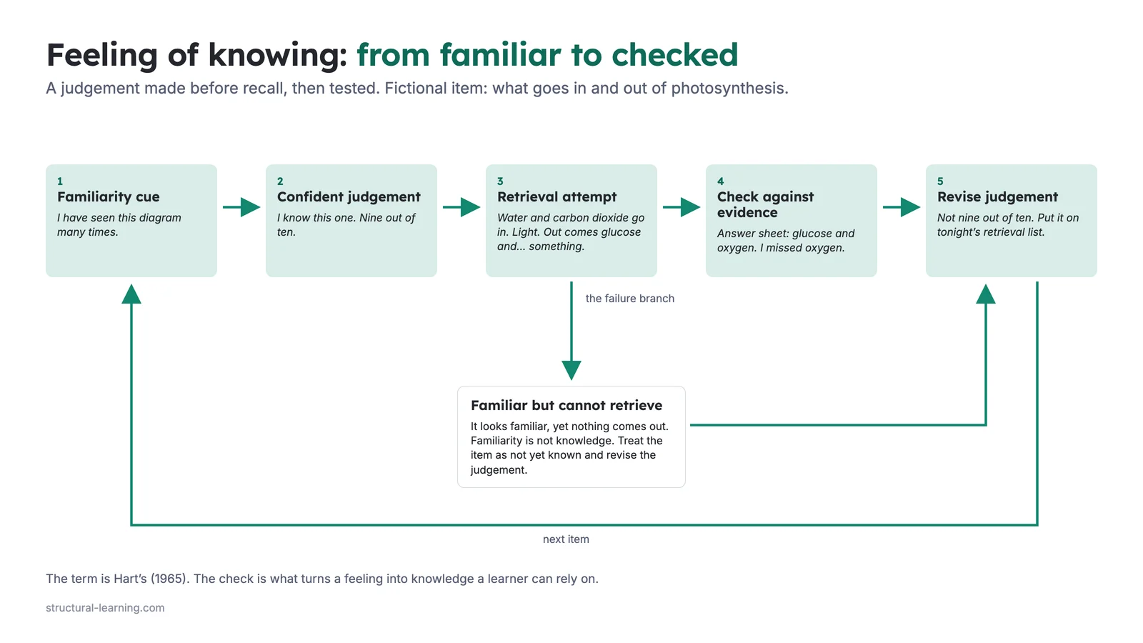 Flow diagram of a feeling-of-knowing loop with five steps: familiarity cue, confident judgement, retrieval attempt, check against evidence, revise judgement, then back to the next item. A failure branch from retrieval attempt, familiar but cannot retrieve, leads to revise judgement.