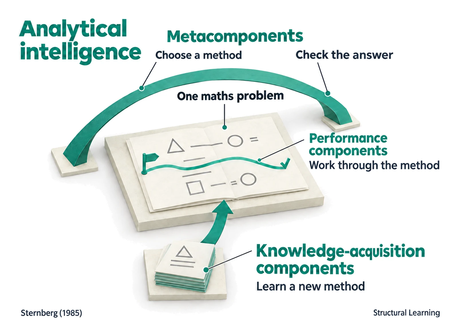 Sternberg's mental components shown through planning, solving, checking and learning a maths method.