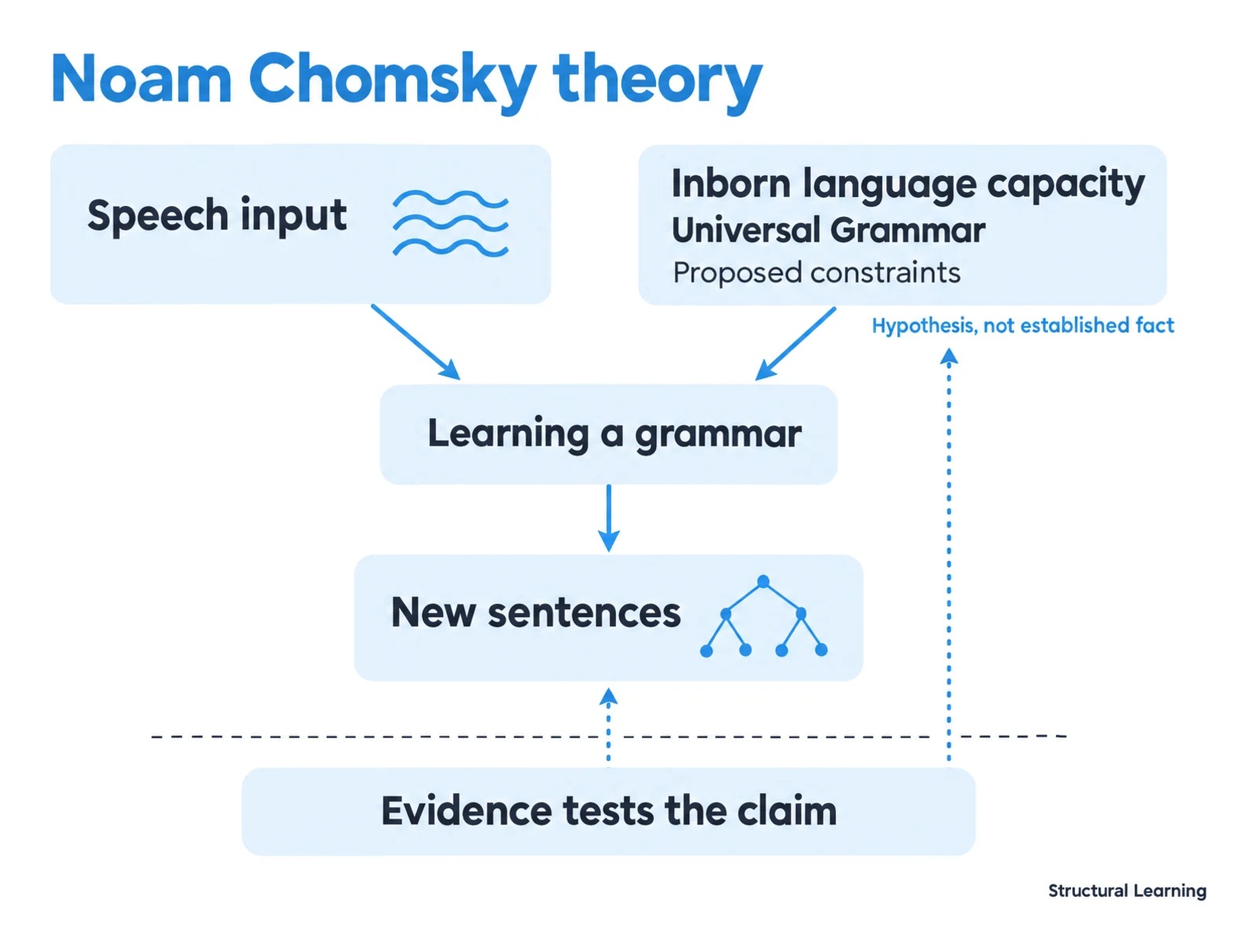Chomsky's Theory of Language: Universal Grammar Explained