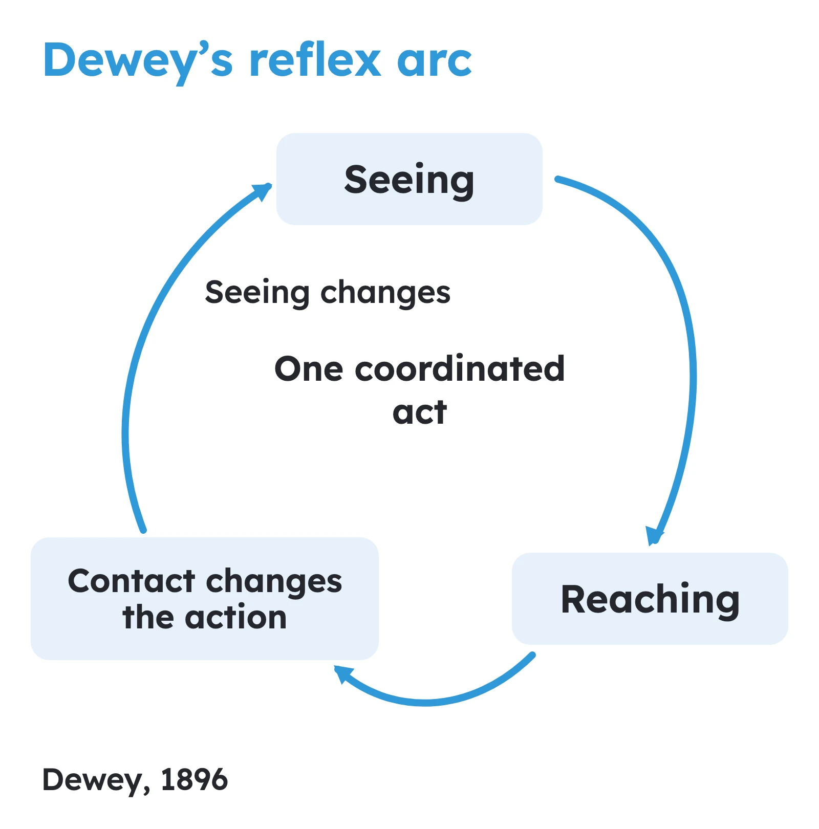 Dewey's reflex arc diagram showing seeing, reaching and changing action as phases of one coordinated activity.