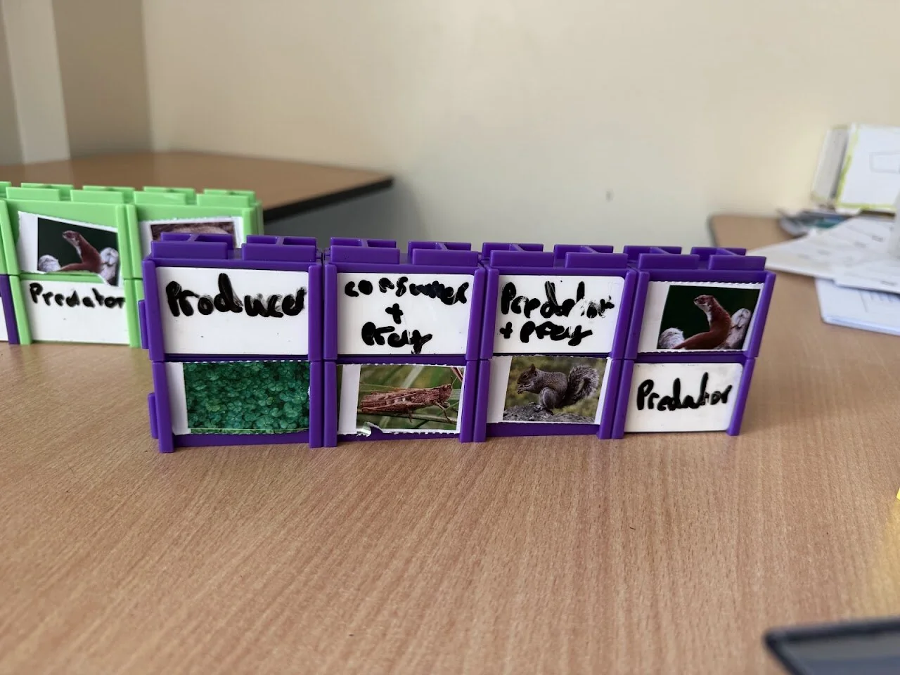 A food chain in purple blocks: producer, consumer and prey, predator and prey, and predator, each word above a photo of a plant or animal