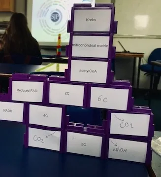 Purple blocks built into a stepped structure on a lab bench, every block labelled with a stage or product of the Krebs cycle: Krebs, mitochondrial matrix, acetyl CoA, 6C, 5C, 4C, NADH, reduced FAD, CO2