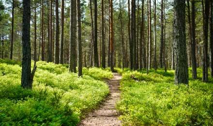 The Importance of Financial Models in the Sale Process