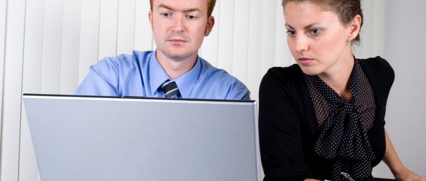 online employment history