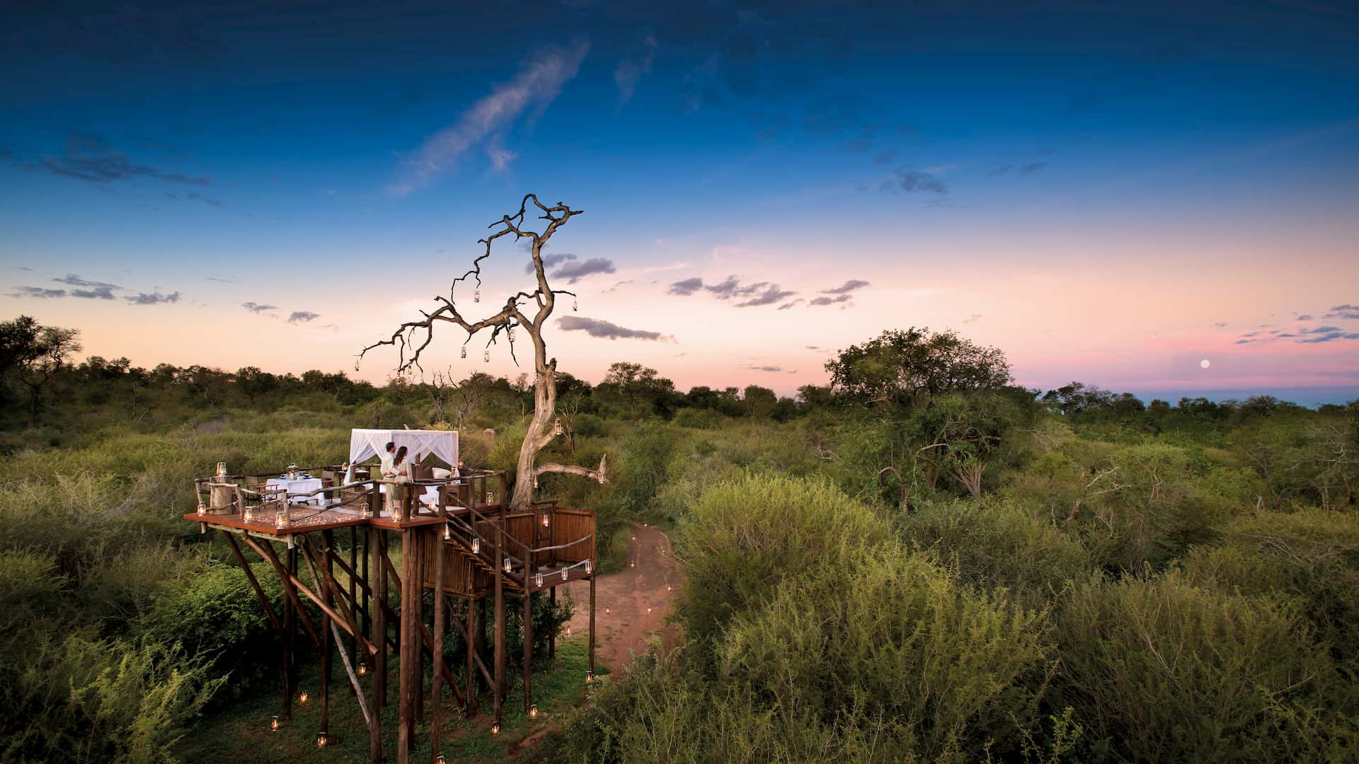 Sudafrica tree house Lion Sand