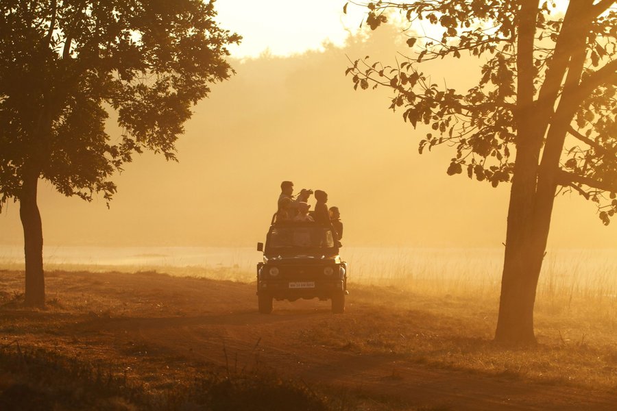 Safari all’alba: in un viaggio di nozze combinato la tappa attiva va per prima